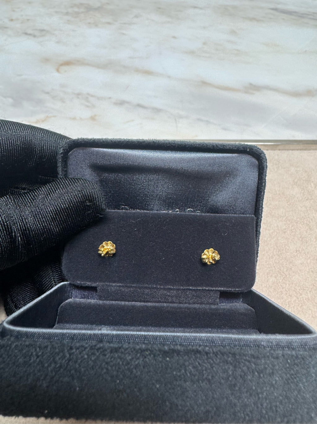 Tiffany T Earrings