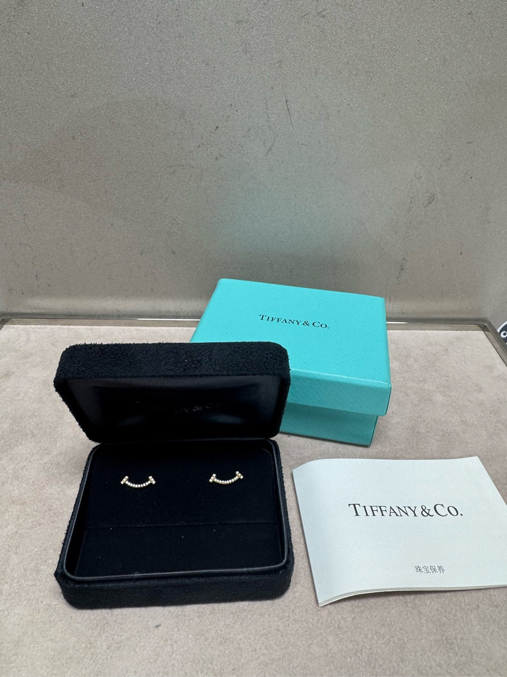 Tiffany T Earrings