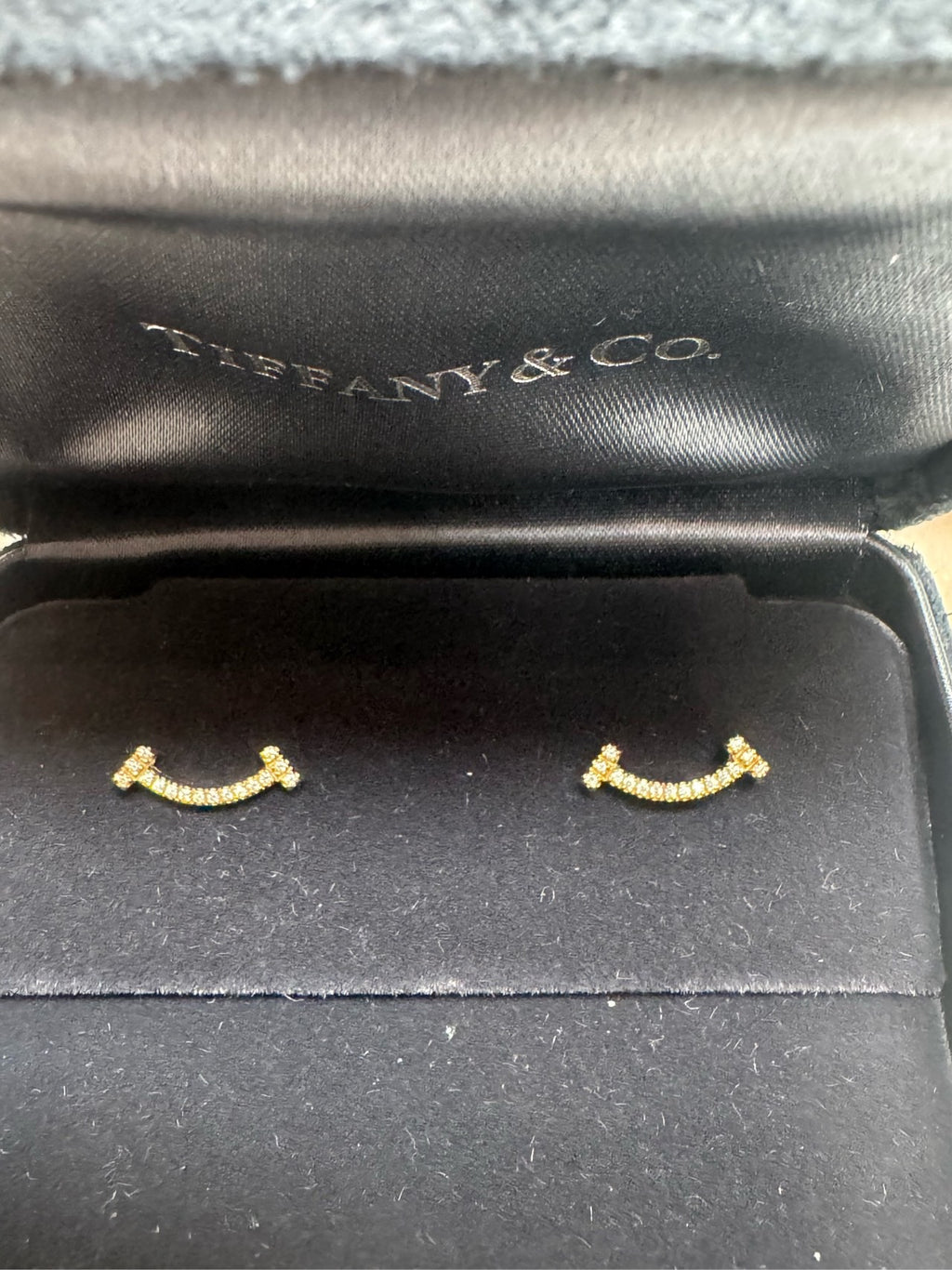 Tiffany T Earrings