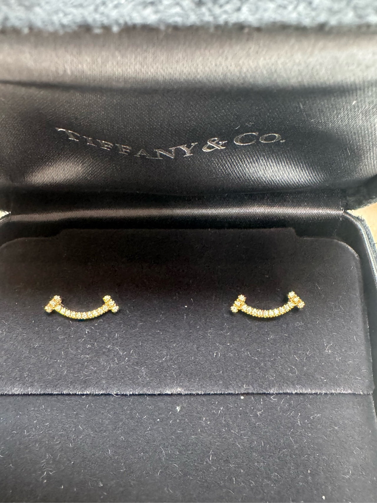 Tiffany T Earrings