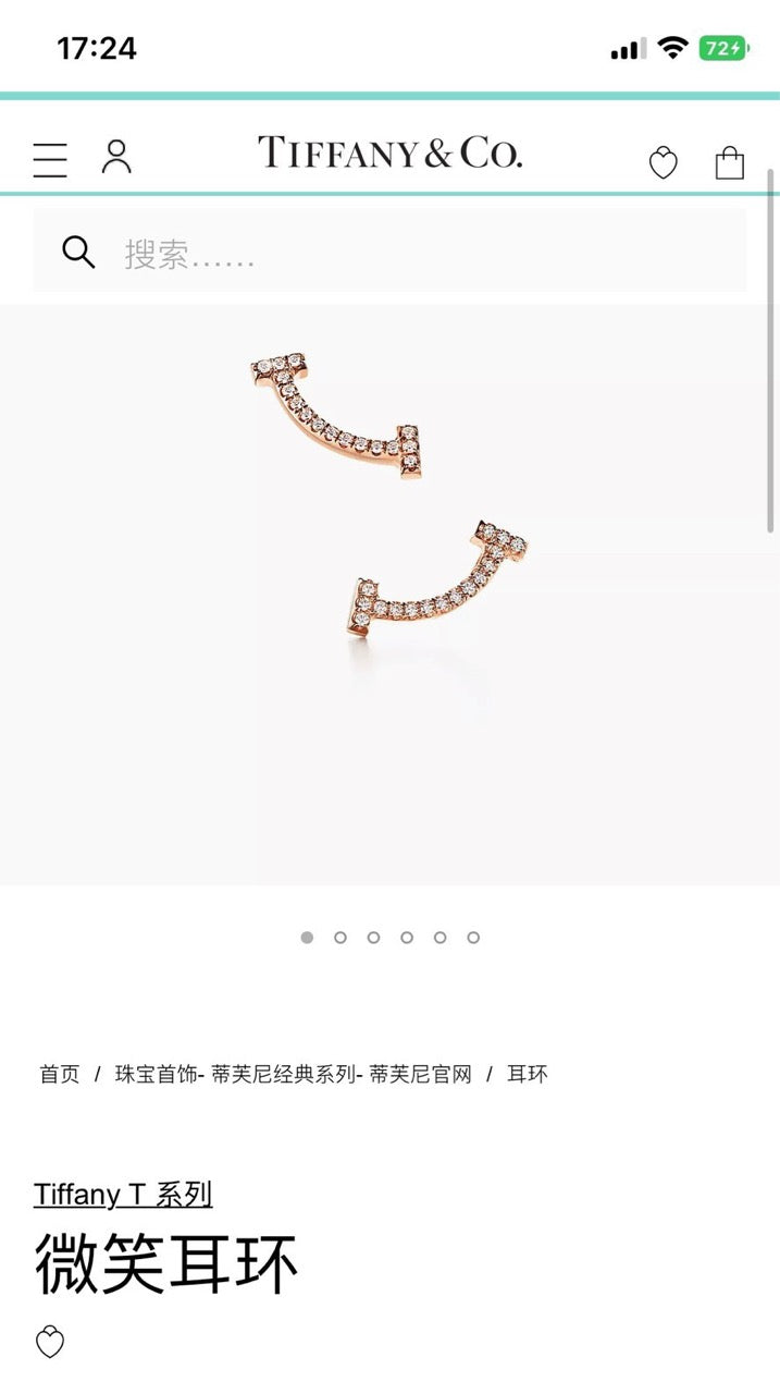Tiffany T Earrings