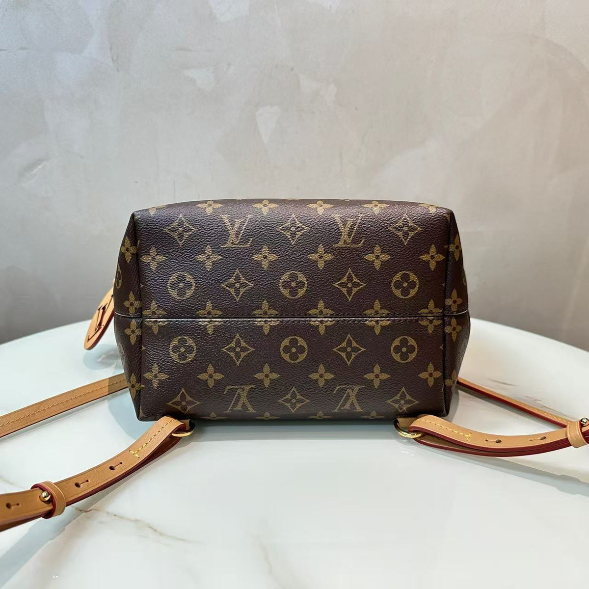 Louis Vuitton Montsouris Backpack