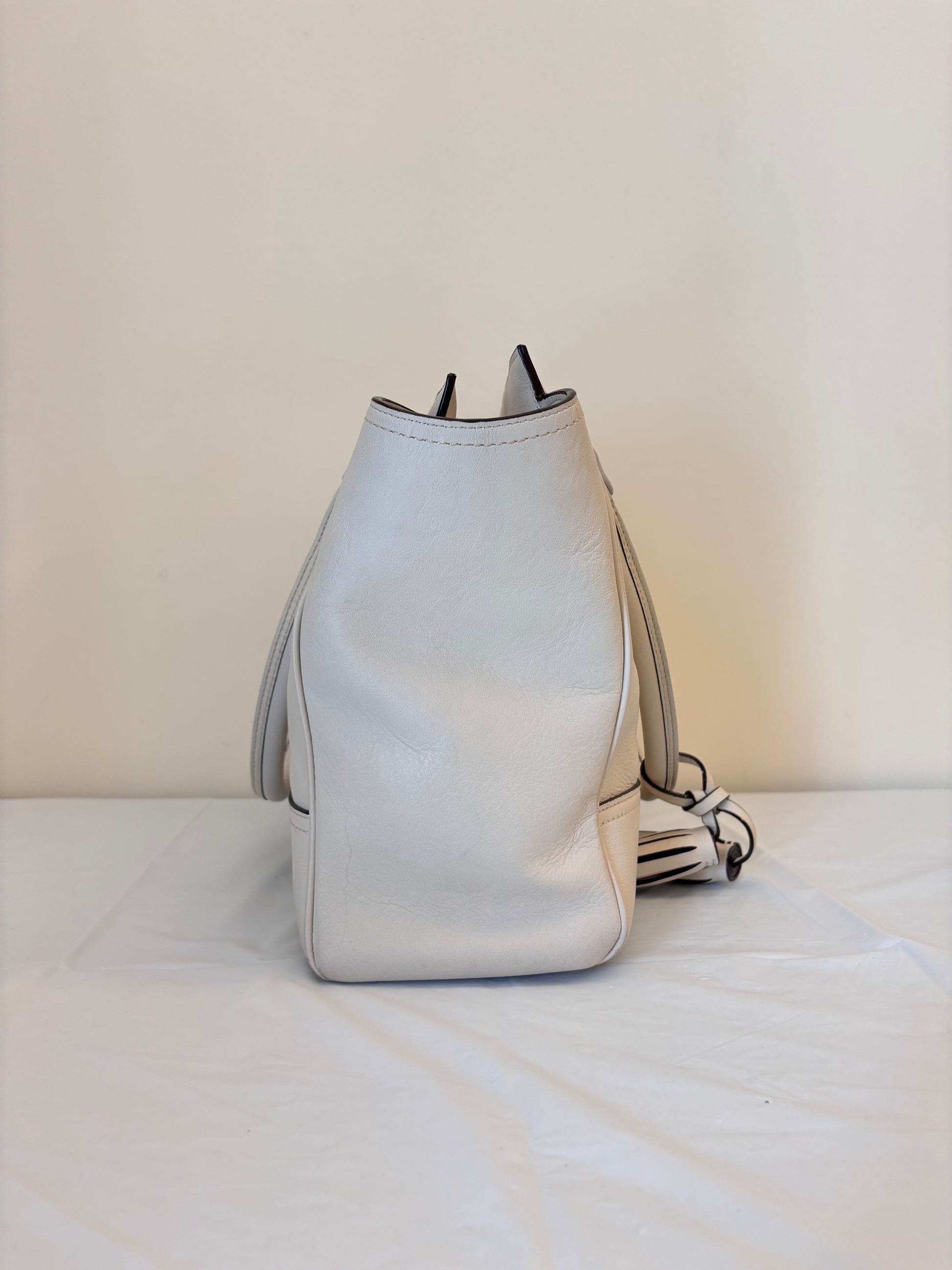 Coach full leather handheld dumpling bun