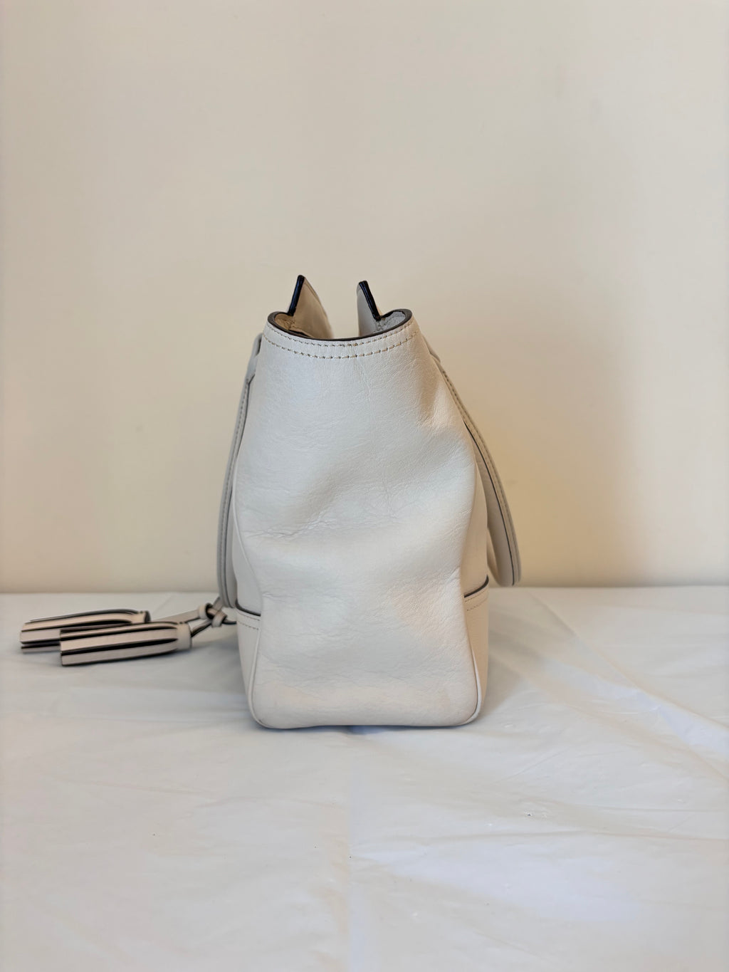 Coach full leather handheld dumpling bun