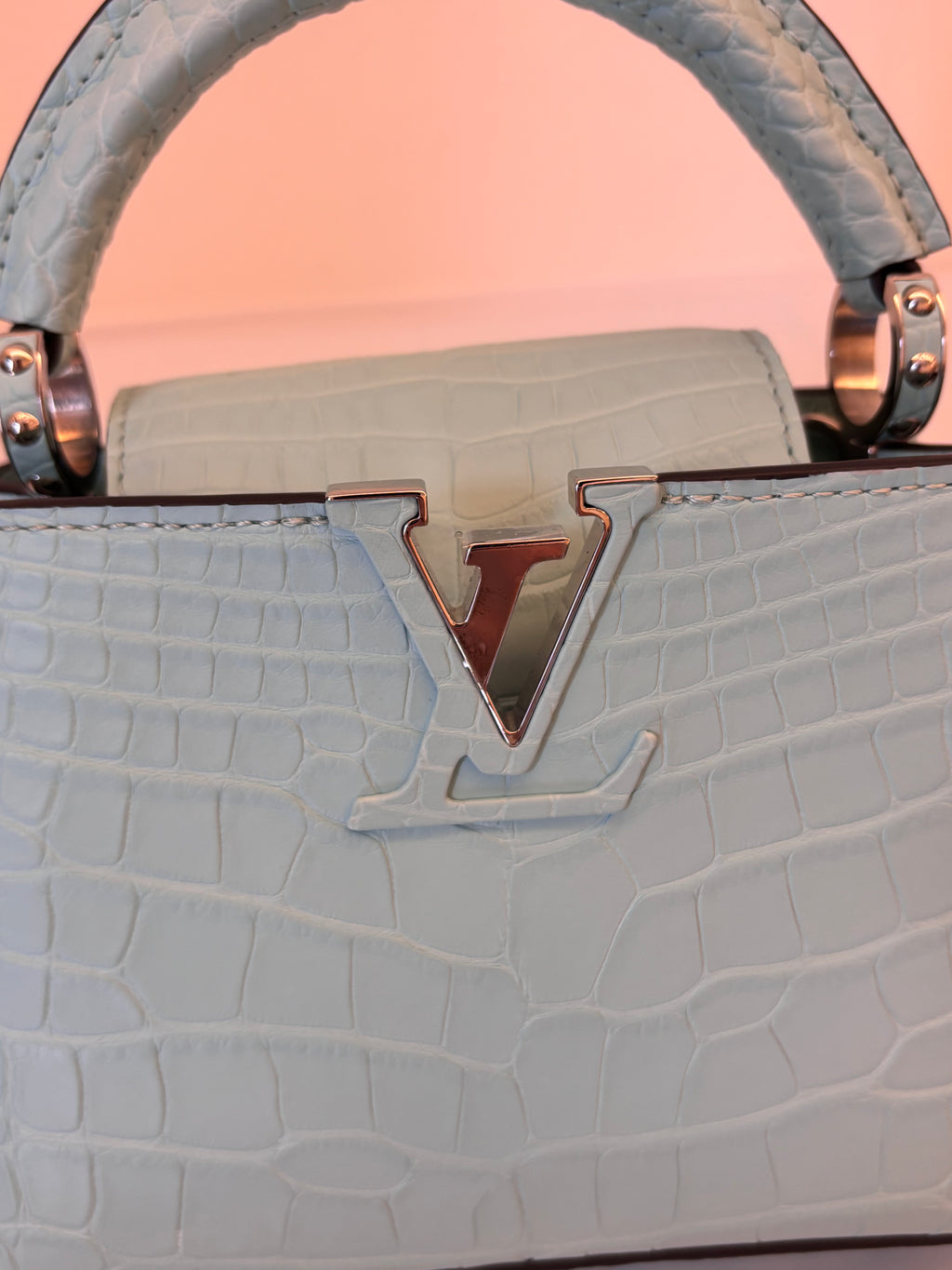 Louis Vuitton crocodile skin capucines mini