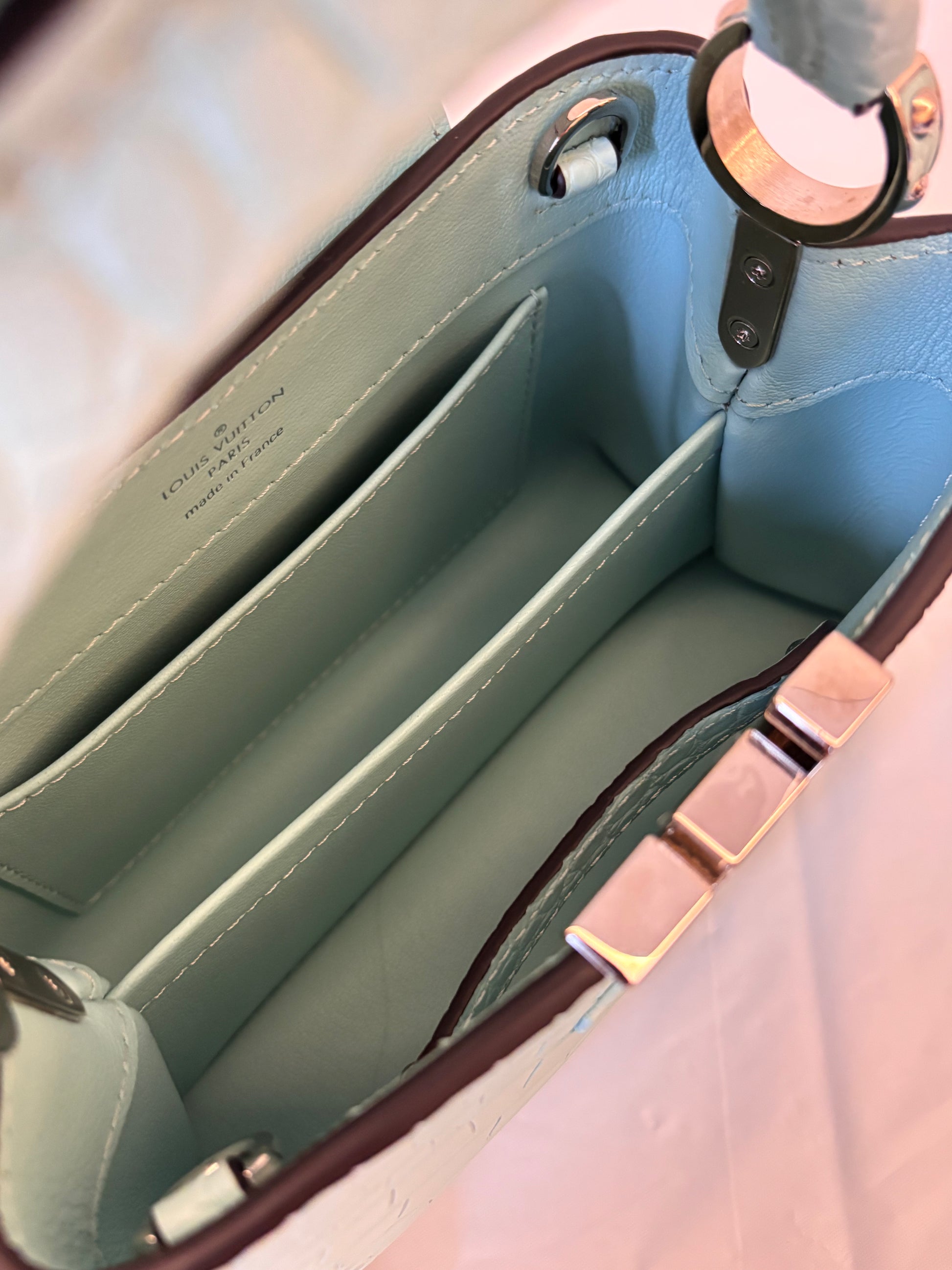 Louis Vuitton crocodile skin capucines mini