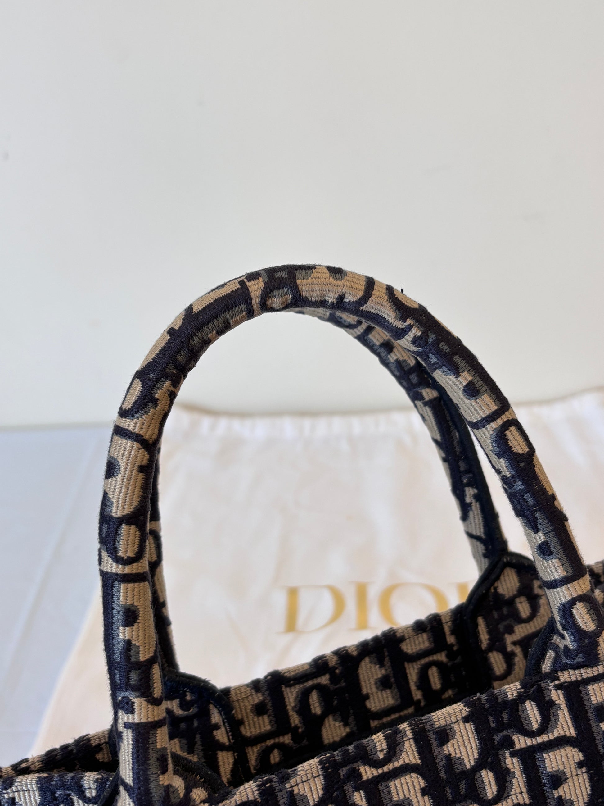 Dior monogram tote bag small