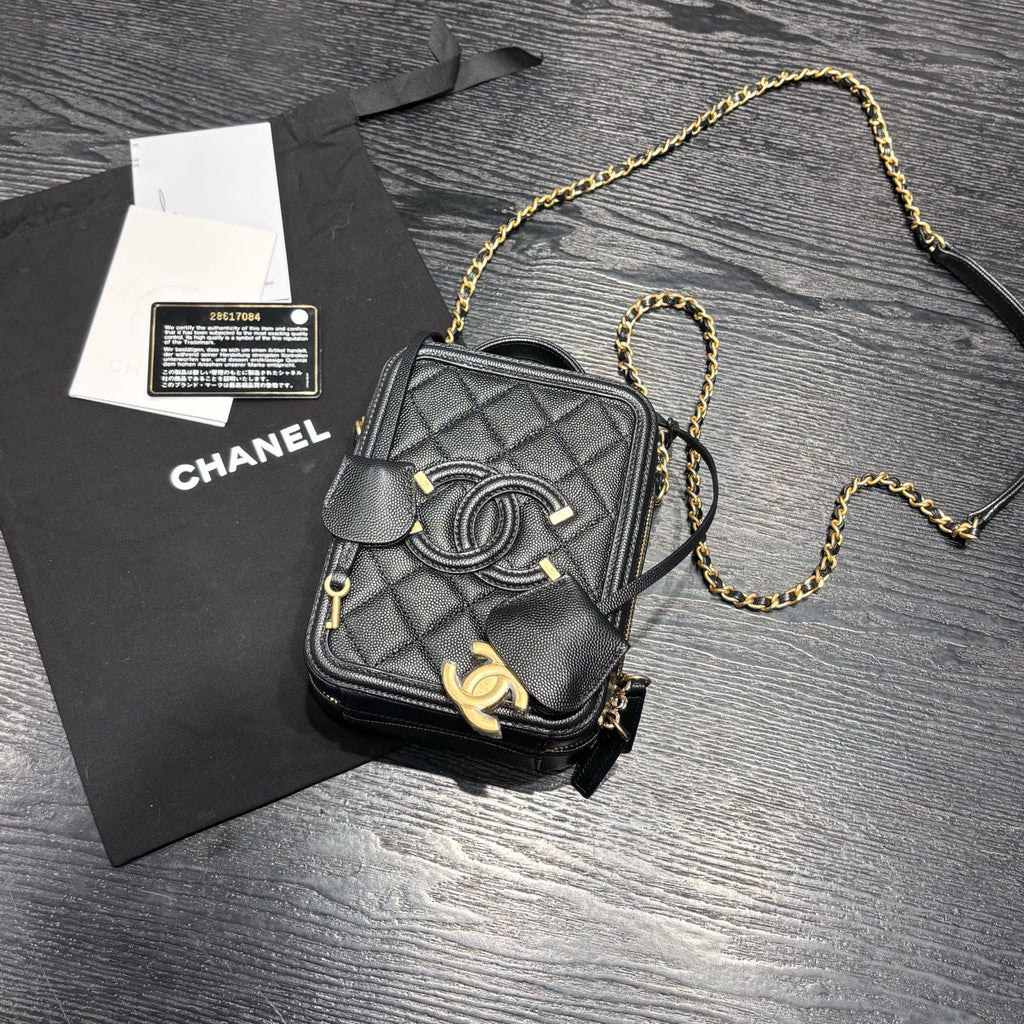 Chanel Camera Bag