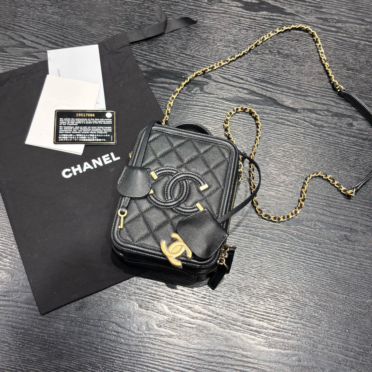 Chanel Camera Bag