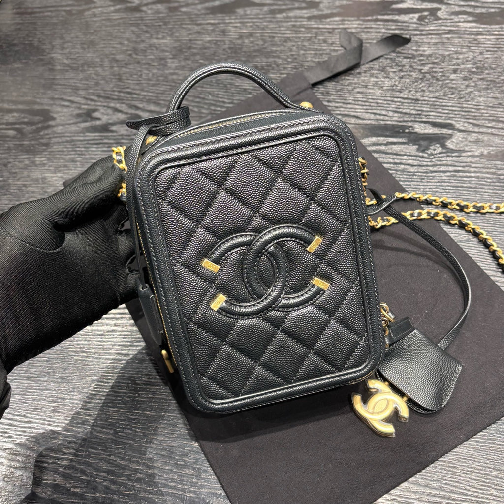 Chanel Camera Bag