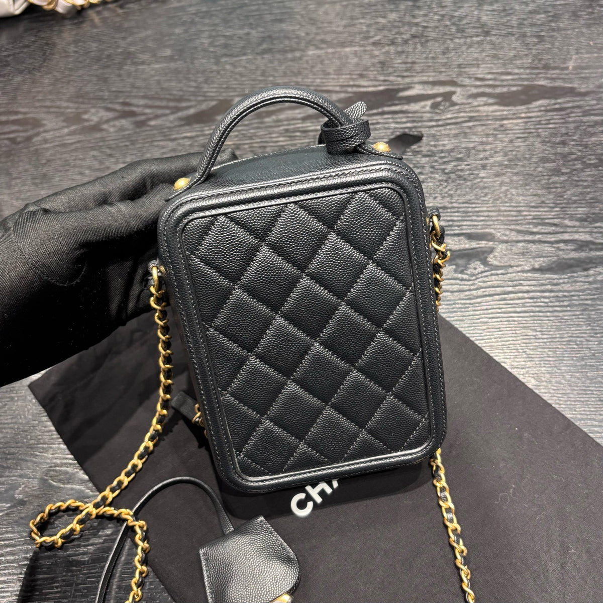 Chanel Camera Bag
