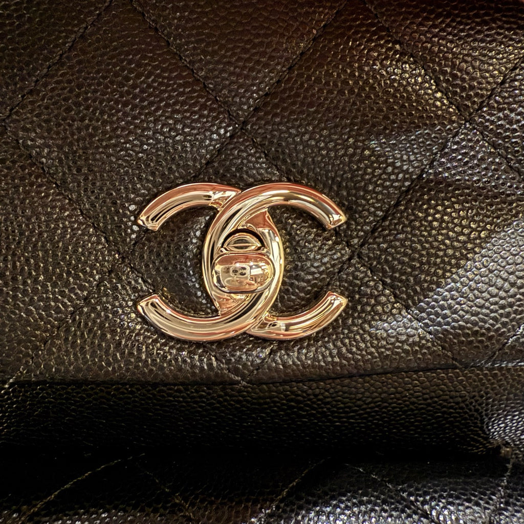 Chanel Large Duma Backpack
