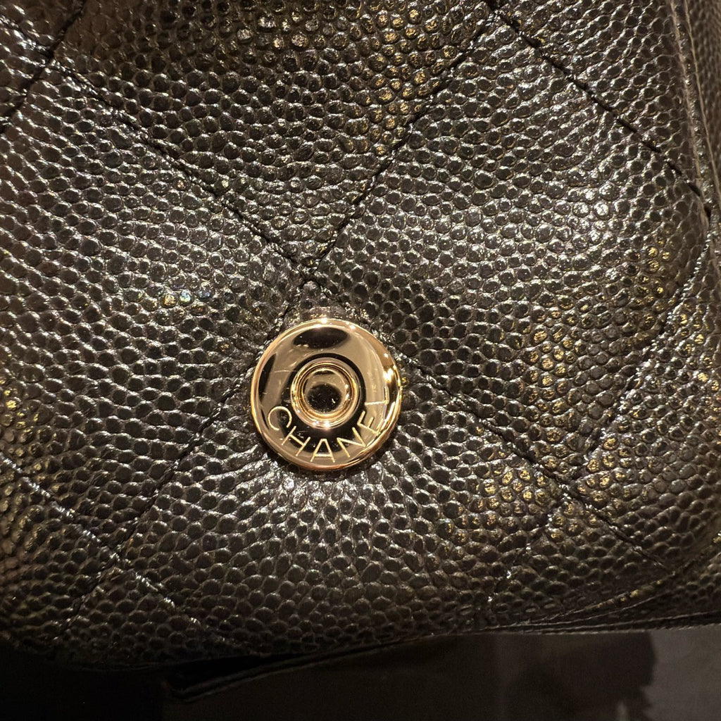 Chanel Large Duma Backpack