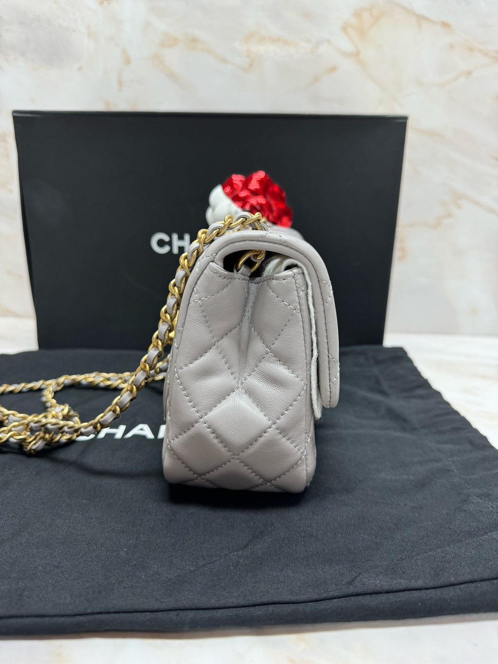Chanel Shoulder Bag Mini