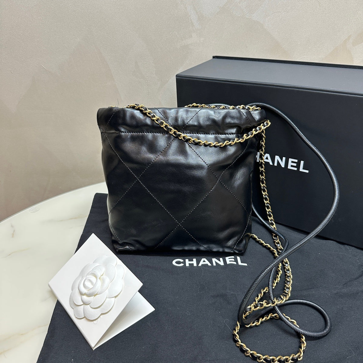 Chanel 22Bah Mini