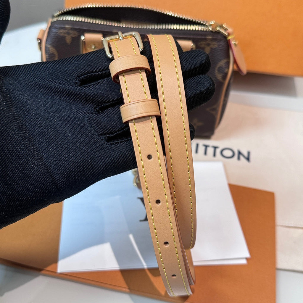 Louis Vuitton Speedy Nano